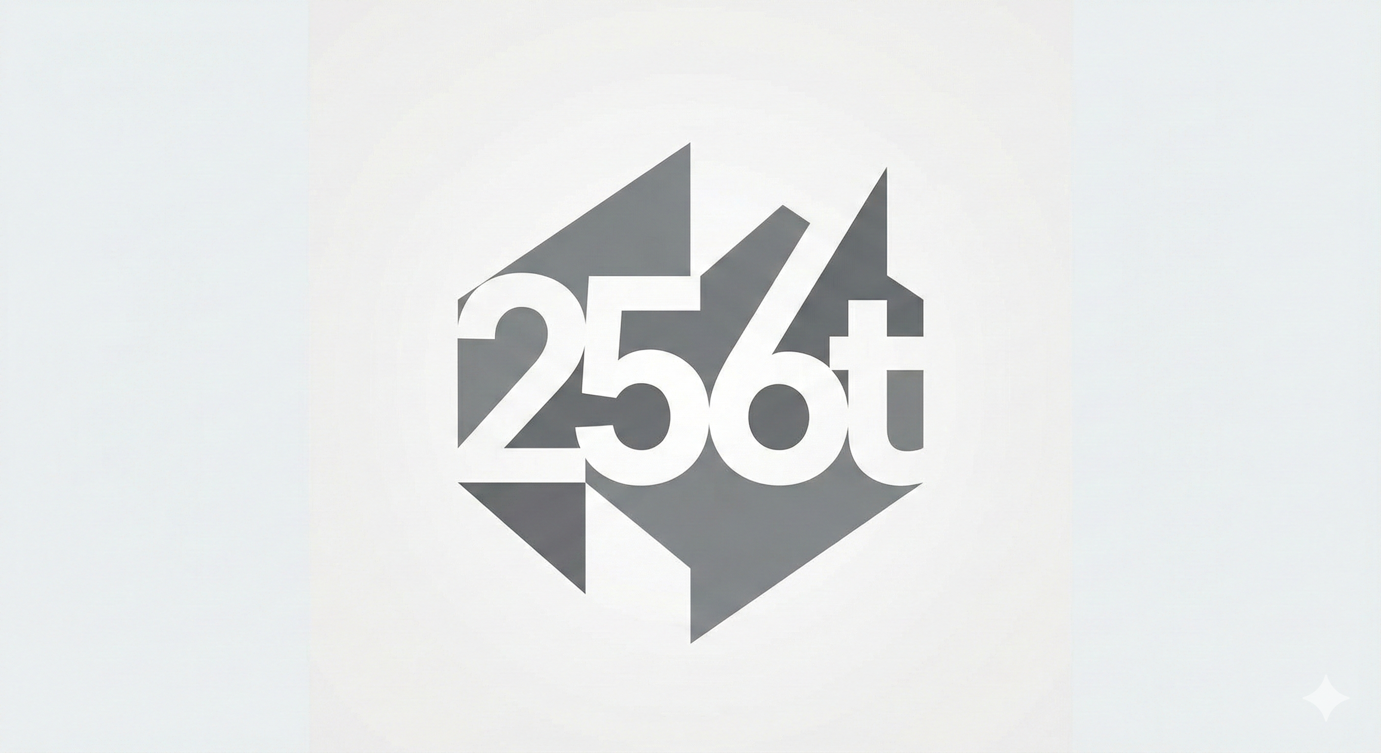 256t.org Logo